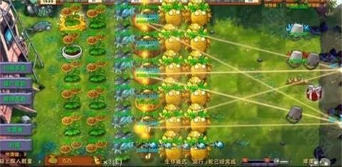 植物大战僵尸海滩融合旅行