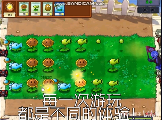 植物大战僵尸抽卡版