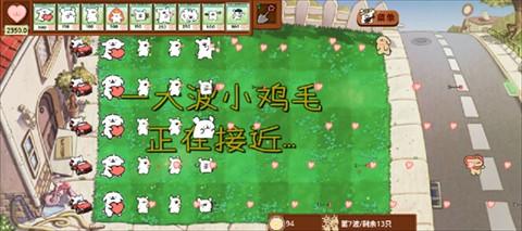 小白大战小鸡毛