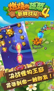 燃烧的蔬菜4手机游戏最新版下载