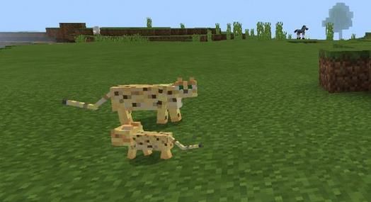 我的世界1.7.10神奇宝贝精灵球mod手机版下载