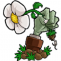 植物大战僵尸lz重制版手机版最新版