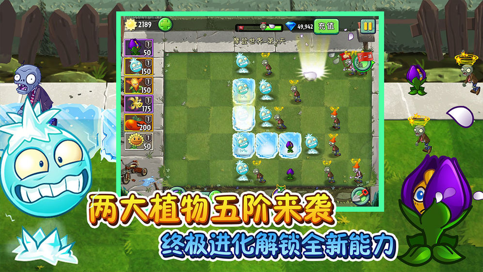 植物大战僵尸2新植物花盆无限阳光最新版
