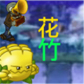 植物大战僵尸花竹版最新手机版（pvz花竹）