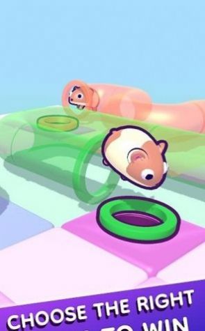 管道仓鼠游戏中文版(Tube Hamster)