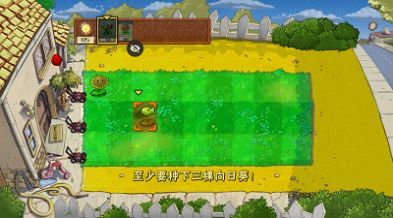 pvzNr版0.0.4下载安装手机版