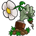 植物大战僵尸仿e支1.2.9触控版下载正式版