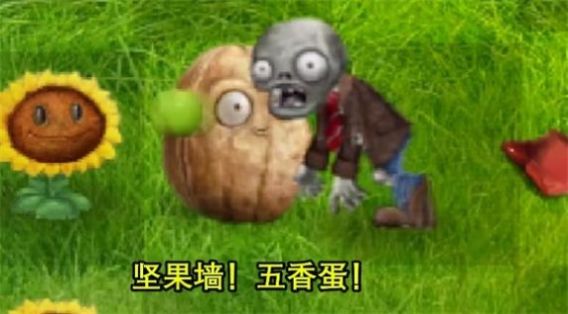 植物大战僵尸现实版下载