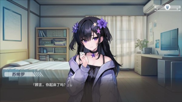 心所向往的北极星