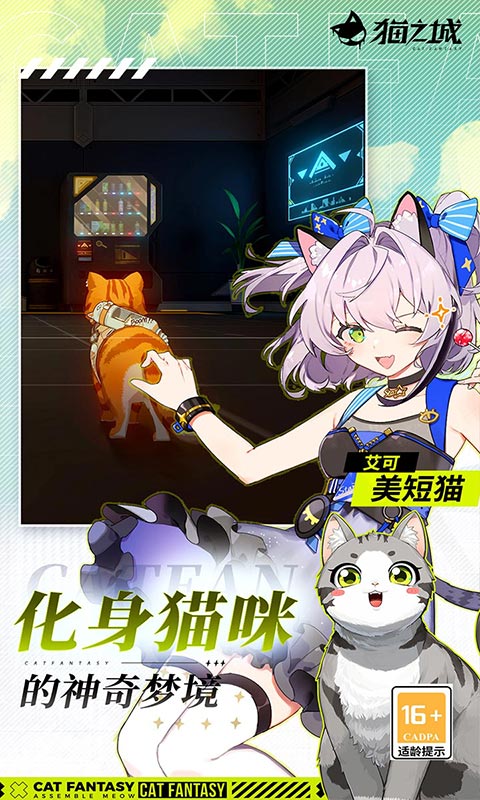 猫之城国际服