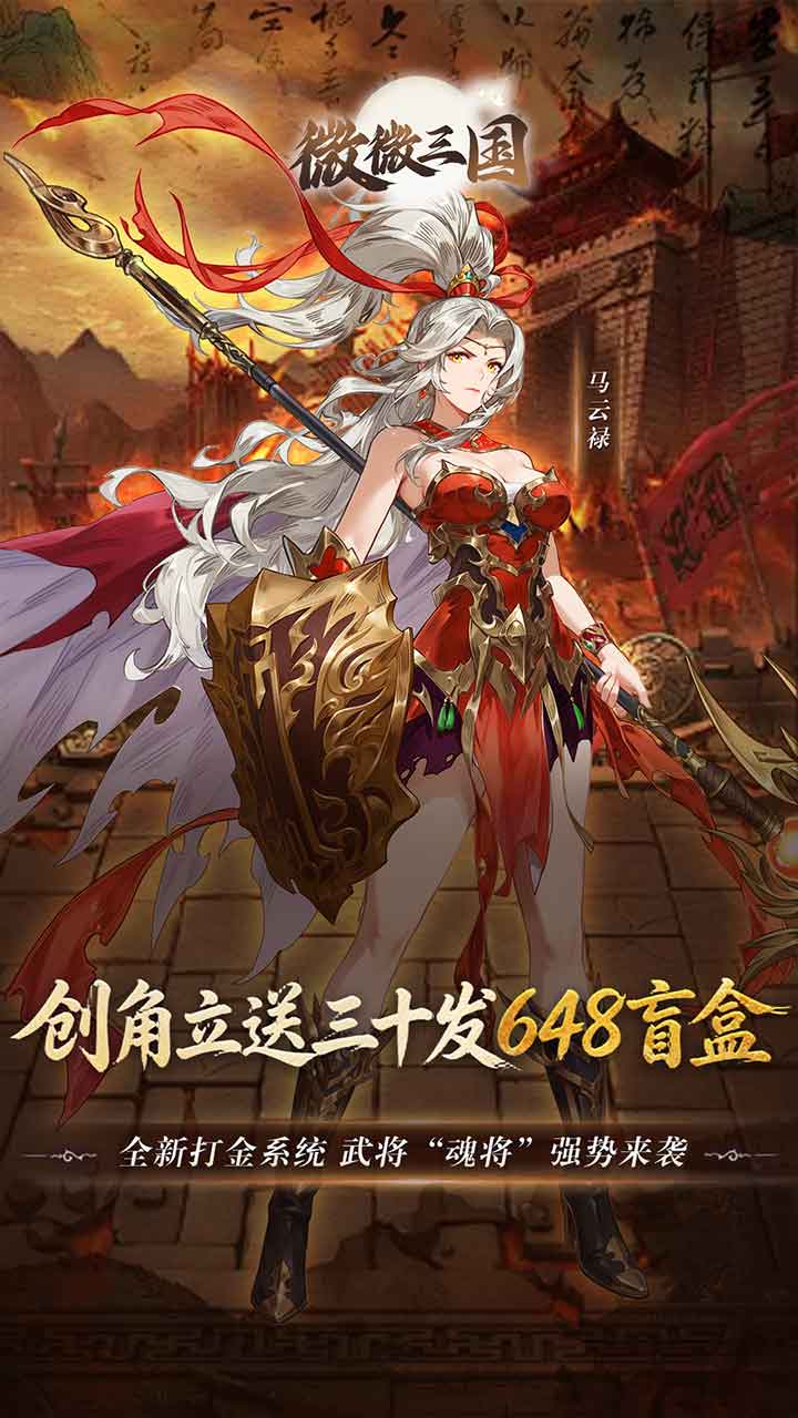 微微三国(0.05折打金版)