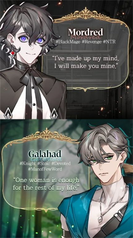 与骑士的秘密之吻汉化版