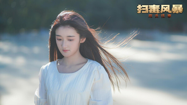 扫毒风暴宛北往事