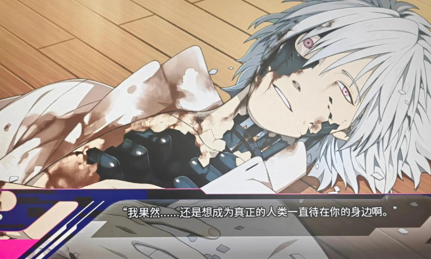 DMMD