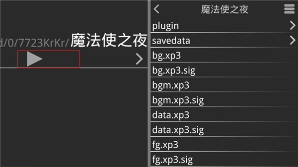 魔法使之夜汉化版
