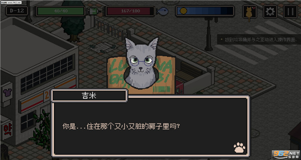 流浪猫的故事中文版