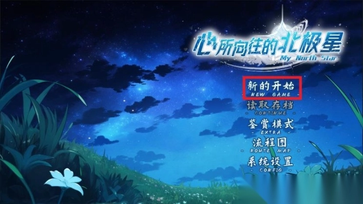 心所向往的北极星完整版