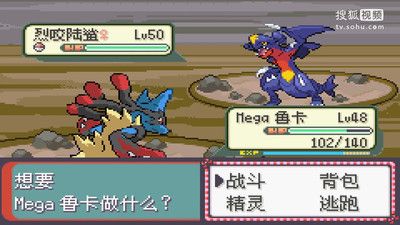 口袋妖怪永恒之沫MAGE进化的宠物最新直装版