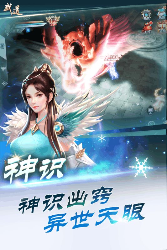 武道单机版