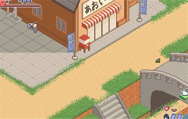 寻找夏日的宝物