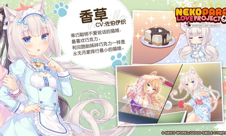 猫娘乐园4