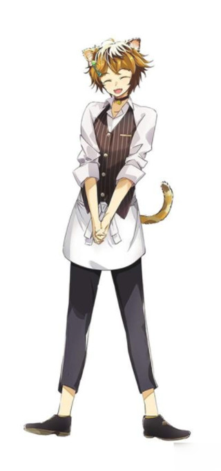 猫郎乐园