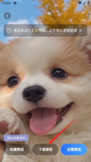 灵动组件多多