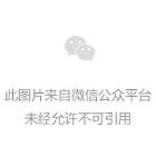 《兽血猛将》身边的优质妹纸实在是太少了