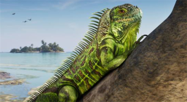 《GTA6》公布大量新情报！170种生物，天气系统等大量新内容公开！