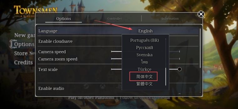 家园重建王国中文版